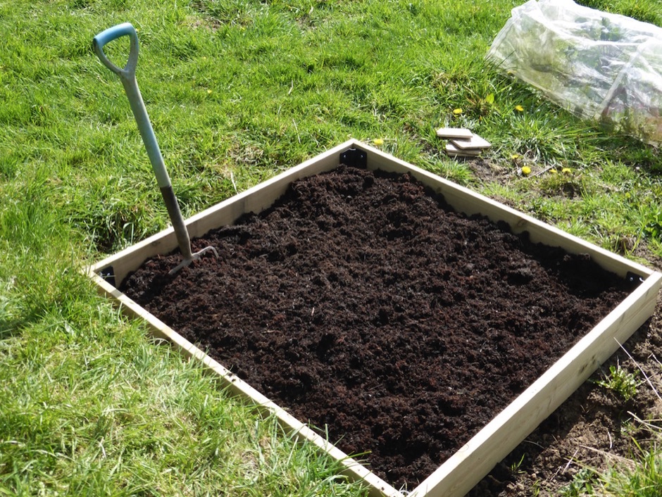 Square foot garden Little Green Space