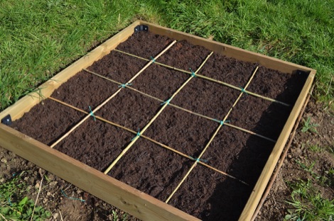 Square foot garden | Little Green Space