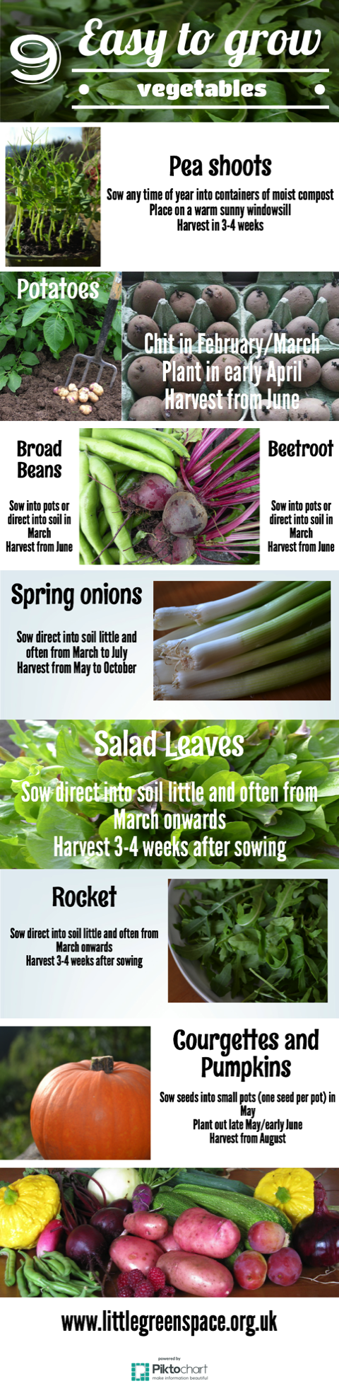Easy to grow vegetables infographic