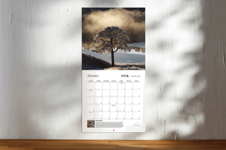 Trees For Life Scotland's Wild Forest wall calendar