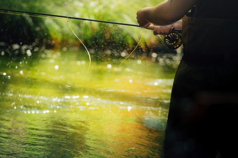 Fly fishing