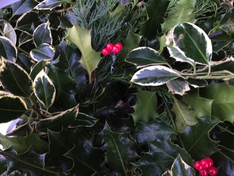 Holly and winter foliage