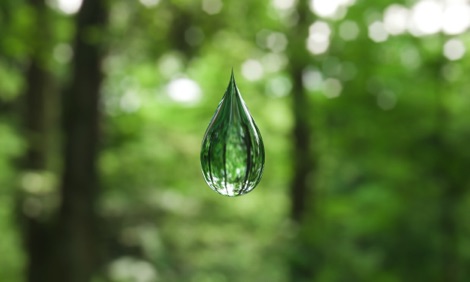 Green water droplet with green trees in background