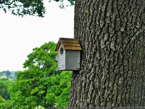 Bird nesting box