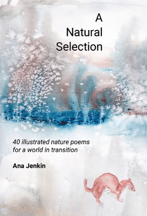 A Natural Selection cover